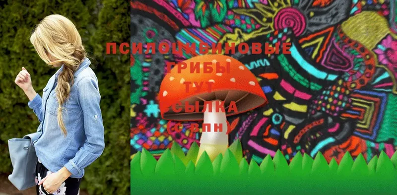 Галлюциногенные грибы Psilocybe  купить закладку  Волжск 